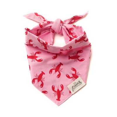 Lobster Dog Bandana - Valentine's 2026