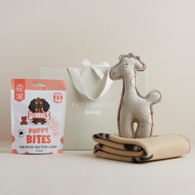 Mini Puppy Hamper
